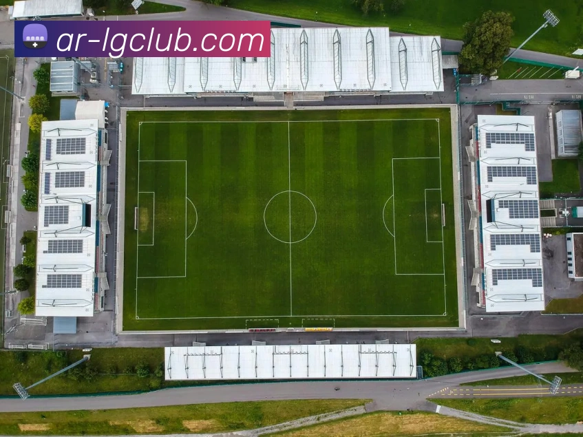 老哥俱乐部官网平台生态图